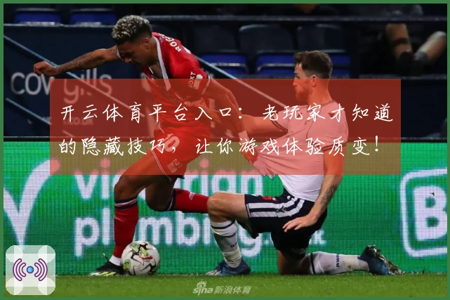 开云体育平台入口：老玩家才知道的隐藏技巧，让你游戏体验质变！